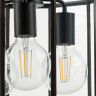 Люстра потолочная LIGHTSTAR GENNI 798237