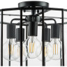 Люстра потолочная LIGHTSTAR GENNI 798257