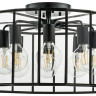Люстра потолочная LIGHTSTAR GENNI 798287