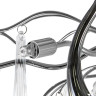Люстра потолочная LIGHTSTAR MANICA 794124