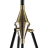 Люстра потолочная LIGHTSTAR MODENA 816037