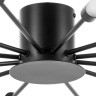 Люстра потолочная LIGHTSTAR Ragno 732127