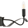 Люстра потолочная LIGHTSTAR RAGNO 733267