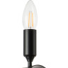 Люстра потолочная LIGHTSTAR RAGNO 733267