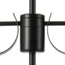 Люстра потолочная LIGHTSTAR RAGNO 733267