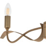 Люстра потолочная LIGHTSTAR RAGNO 733283