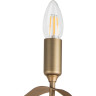 Люстра потолочная LIGHTSTAR RAGNO 733283