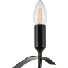 Люстра потолочная LIGHTSTAR RAGNO 733287