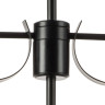 Люстра потолочная LIGHTSTAR RAGNO 733287