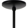 Люстра потолочная LIGHTSTAR RAGNO 733287