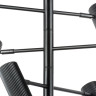 Люстра потолочная LIGHTSTAR ROMA 718267