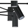 Люстра потолочная LIGHTSTAR ROMA 718327