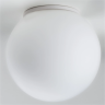 Настенно-потолочный светильник LIGHTSTAR GLOBO 803010