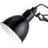 Настольная лампа LIGHTSTAR Loft 765917
