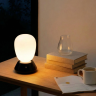 Настольная лампа LIGHTSTAR UOVO III 807917