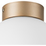 Плафон потолочный LIGHTSTAR GLOBO 812013
