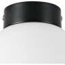 Плафон потолочный LIGHTSTAR GLOBO 812017
