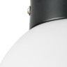 Плафон потолочный LIGHTSTAR GLOBO 812017