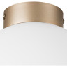 Плафон потолочный LIGHTSTAR GLOBO 812023