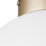 Плафон потолочный LIGHTSTAR GLOBO 812023