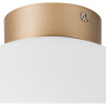 Плафон потолочный LIGHTSTAR GLOBO 812033