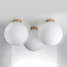 Плафон потолочный LIGHTSTAR GLOBO 812033
