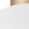 Плафон потолочный LIGHTSTAR GLOBO 812033