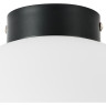 Плафон потолочный LIGHTSTAR GLOBO 812037