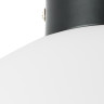 Плафон потолочный LIGHTSTAR GLOBO 812037