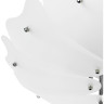 Плафон потолочный LIGHTSTAR LOBO 804040