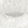 Плафон потолочный LIGHTSTAR ZUCCHE 820340