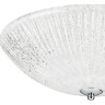 Плафон потолочный LIGHTSTAR ZUCCHE 820830