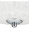 Плафон потолочный LIGHTSTAR ZUCCHE 820830