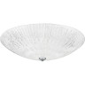 Плафон потолочный LIGHTSTAR ZUCCHE 820860