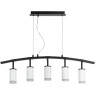 Подвесная люстра LIGHTSTAR Rullo LR7353650