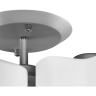 Потолочная люстра LIGHTSTAR NUBI 802030