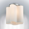 Потолочный светильник LIGHTSTAR NUBI 802010