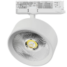Светильник для трековой системы LIGHTSTAR ALTA PRO A5736QT
