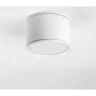 Светильник LIGHTSTAR ACUTO 215856 LED 12W 880LM 120G белый 3000/4000/6000K