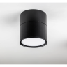 Светильник LIGHTSTAR ACUTO 215887 LED 12W 880LM 120G черный 3000/4000/6000K