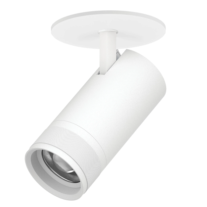 Светильник LIGHTSTAR CANNO PRO C4306RS встраиваемый 30W 2100LM 20-55G белый