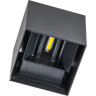 Светильник LIGHTSTAR DALLA 340527 2х5W LED 1100LM G 4000K черный