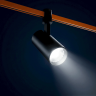 Светильник LIGHTSTAR DUE HERMES 210247