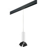 Светильник LIGHTSTAR RULLO HP16 PRORP496437