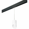 Светильник LIGHTSTAR Rullo PRORP348686