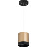 Светильник LIGHTSTAR Rullo RP34903487