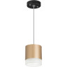 Светильник LIGHTSTAR Rullo RP349080