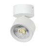 Светильник накладной LIGHTSTAR ALTA PRO A5546SO