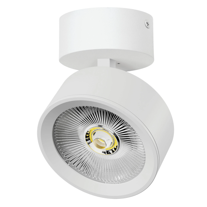 Светильник накладной LIGHTSTAR ALTA PRO A5636SO