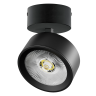 Светильник накладной LIGHTSTAR ALTA PRO A5647SO